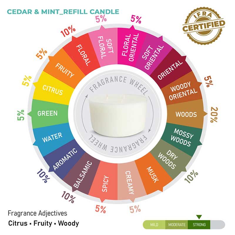 Cedar & Mint Scented 3 Wick Refill Candle