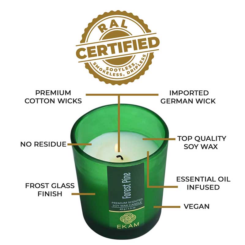 Forest Pine Shot Glass Scented Candle