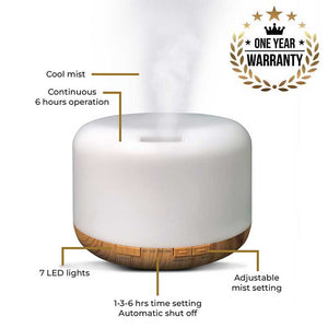 Aroma Diffuser - Model: YX-168 with Free True Joy and Change &amp; Transform Wellness Oils