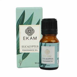Eucalyptus Fragrance Oil, 10 ml