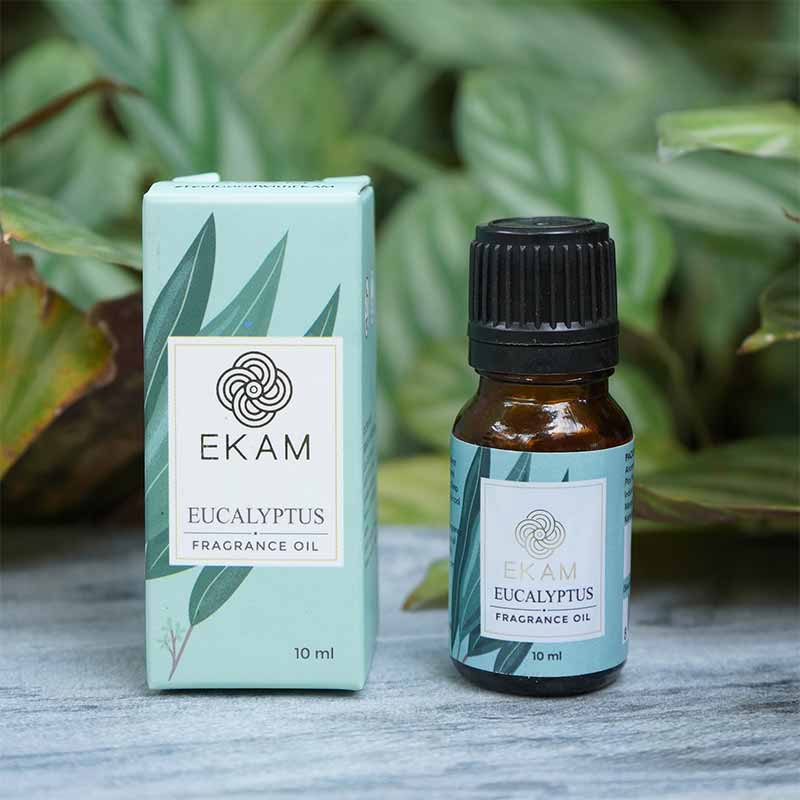 Eucalyptus Fragrance Oil, 10 ml