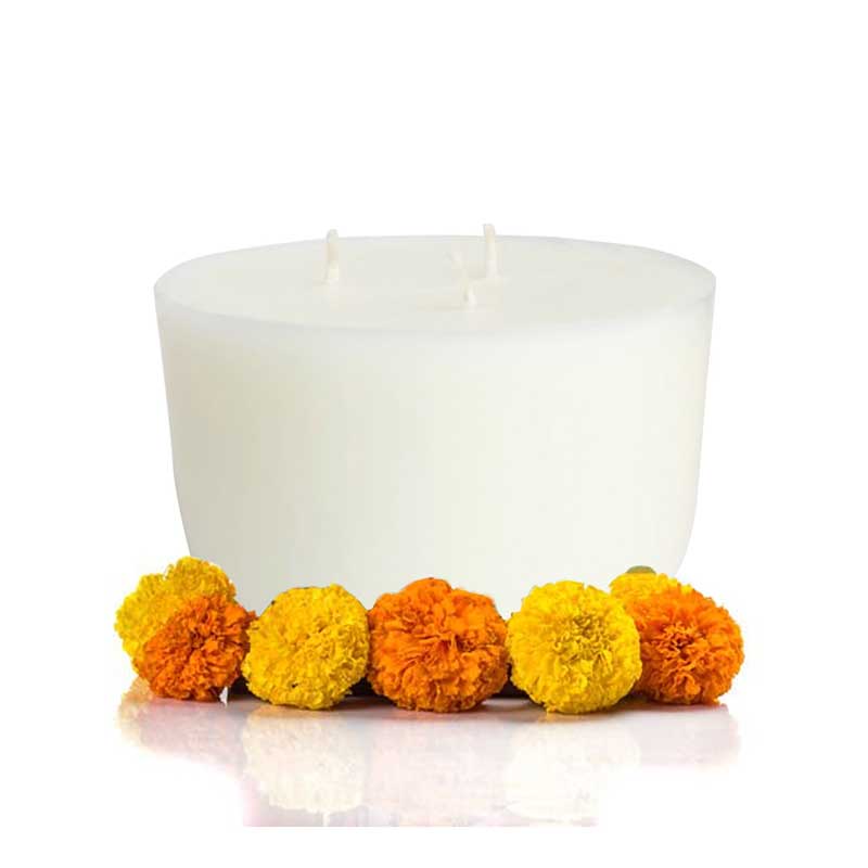 Temple Bloom Scented 3 Wick Refill Candle