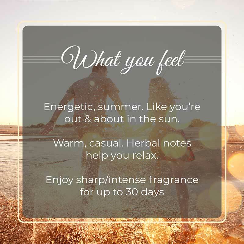 Sea & Sun Premium Freshener Sachet