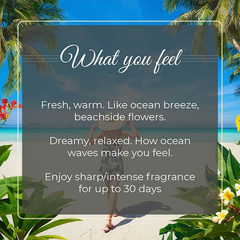 Ocean Dream Premium Freshener Sachet