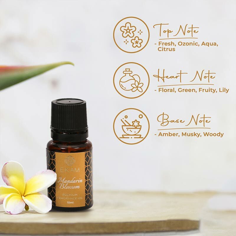 Lime Fragrance Oil, 10 Ml
