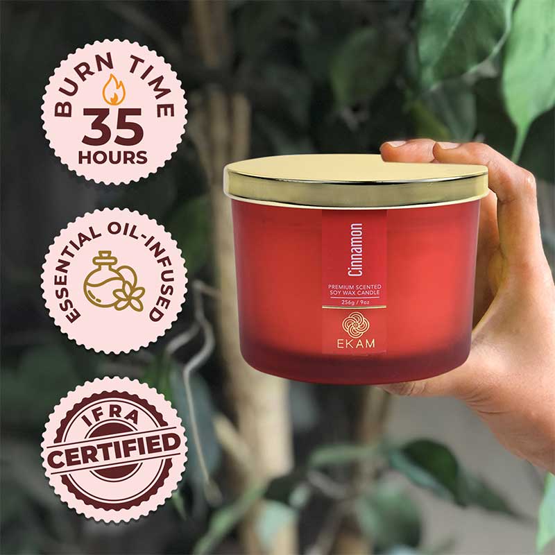 Cinnamon 3 Wick Scented Candle