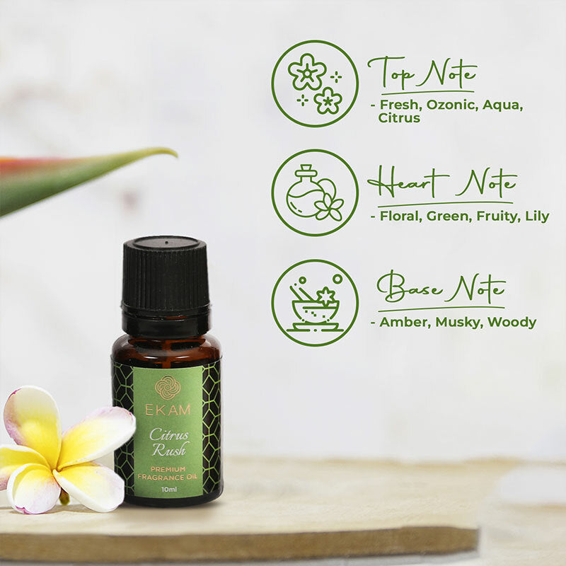 Citrus Rush Fragrance Oil , 10ml