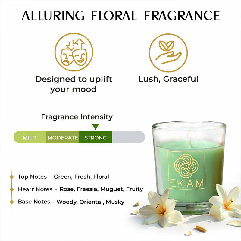 2 Pack Candle Gift Box |  Jasmine & Lime Mandarin