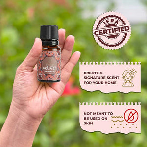 Peaceful Vetiver Fragrance Oil, 10ml