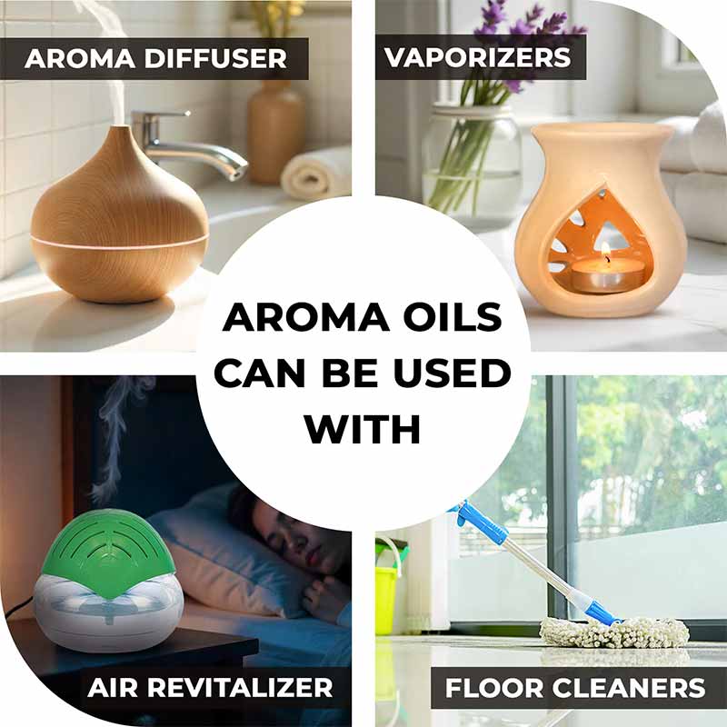 Cologne Fragrance Oil, 10 ml