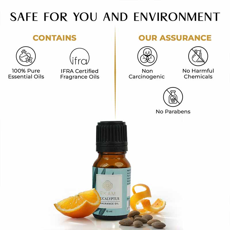 Eucalyptus Fragrance Oil, 10 ml