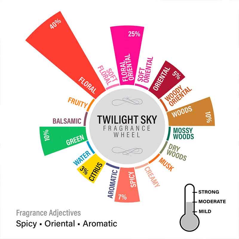 Twilight Sky 3 Wick Scented Candle