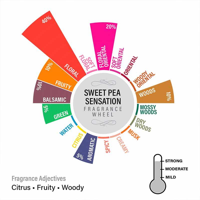 Sweet Pea Lampshade Scented Candle