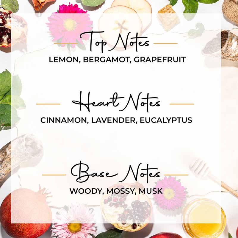 Boundless Creativity Scented 3 Wick Candle