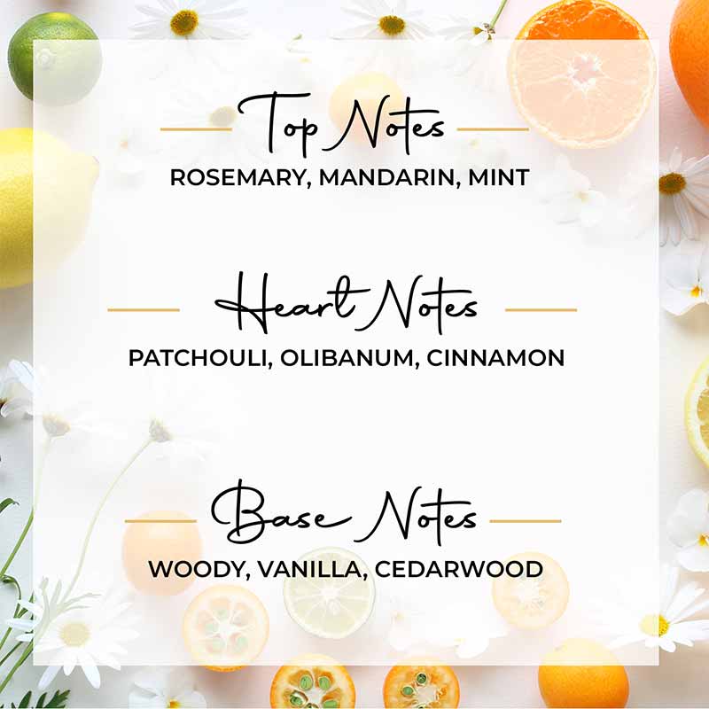 Deep Intuition Scented 3 Wick Candle