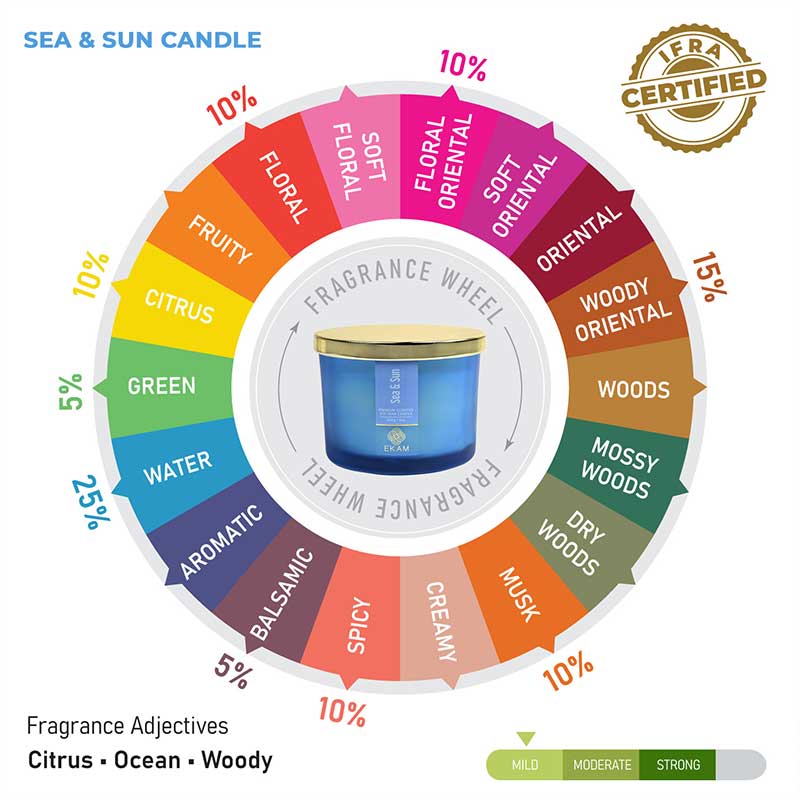 Sea & Sun 3 Wick Scented Candle