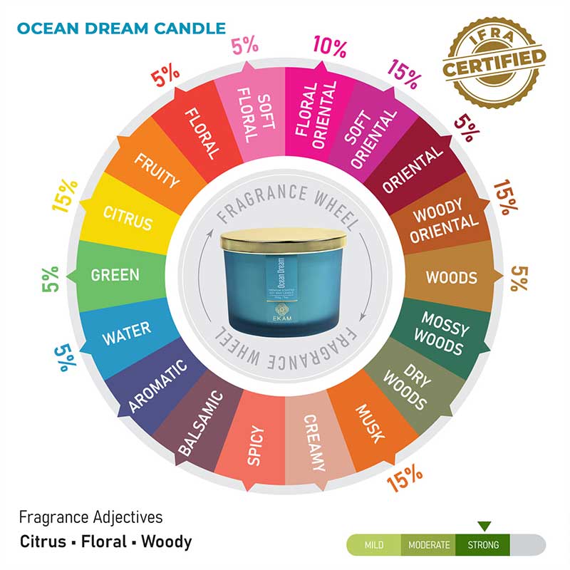 Ocean Dream 3 Wick Scented Candle