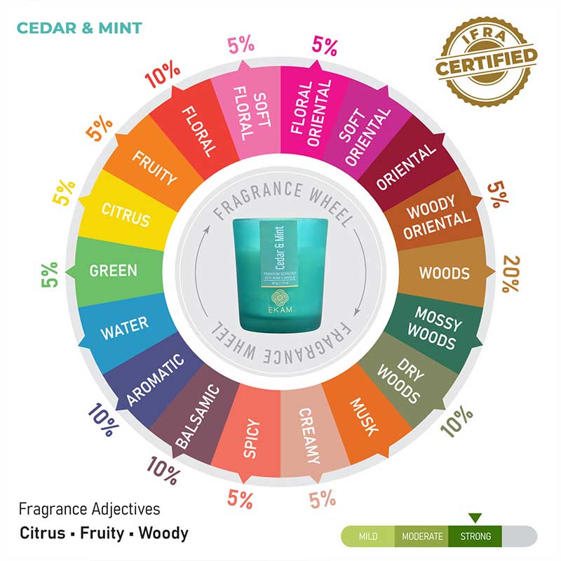 Cedar & Mint Shot Glass Scented Candle