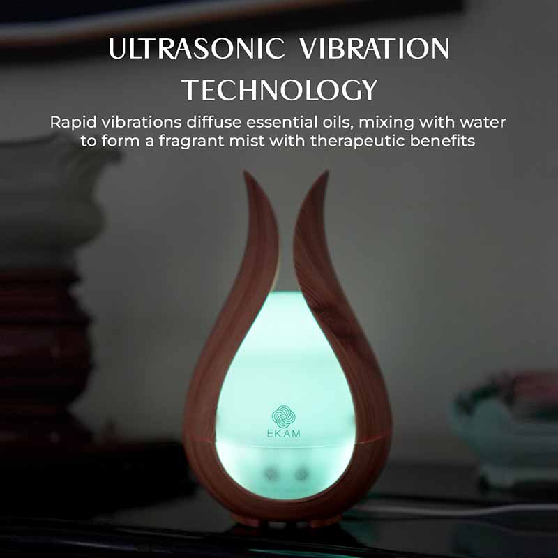 YX263-Lightwood Aroma Diffuser
