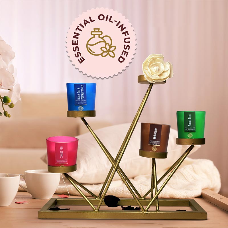 4 Pack Candles Gift Set| Black Tea & Pomegranate, Sweet Pea, Forest Pine, Mahogany