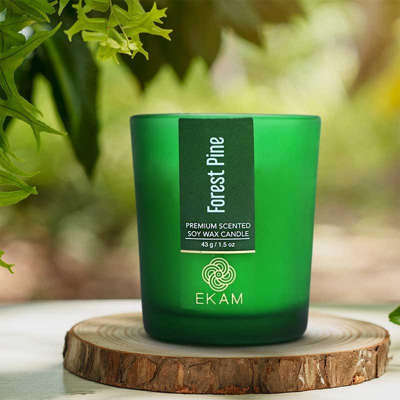 Forest Pine Shot Glass Scented Candle