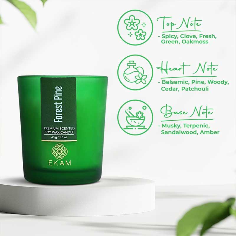 Forest Pine Shot Glass Scented Candle