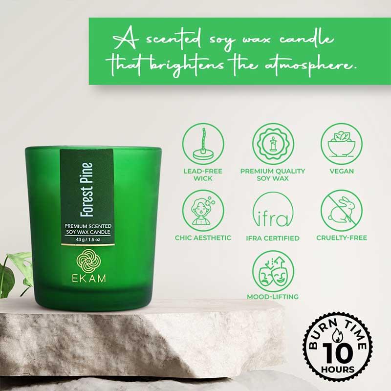 Forest Pine Shot Glass Scented Candle