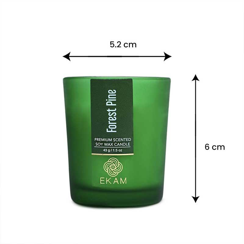 Forest Pine Shot Glass Scented Candle