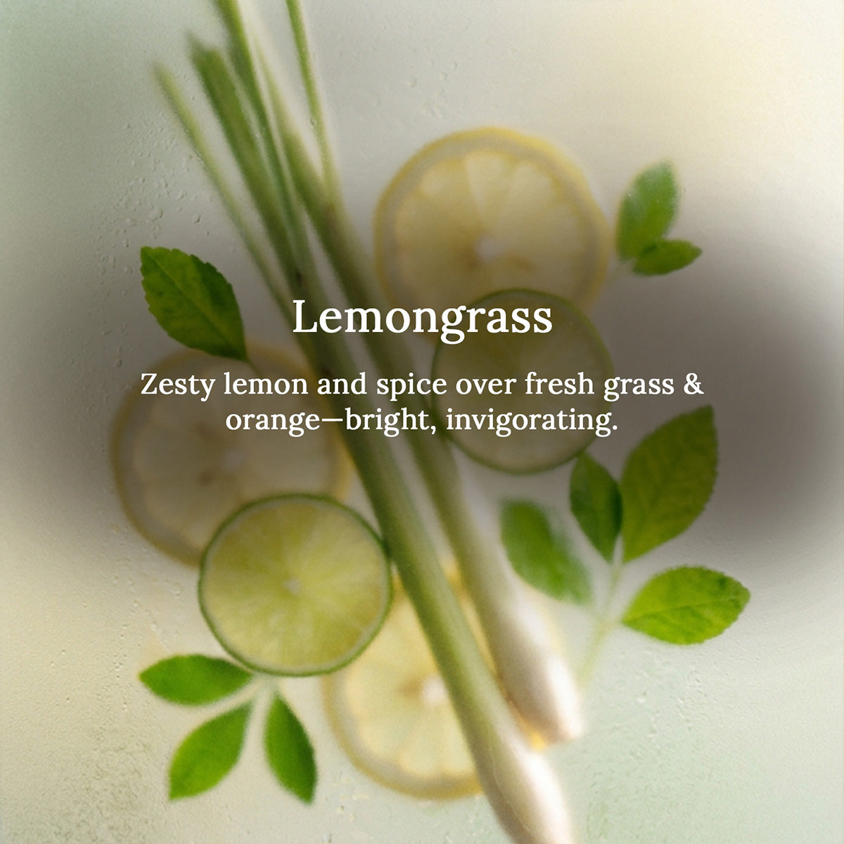 Lemongrass Ring Jar Scented Candle