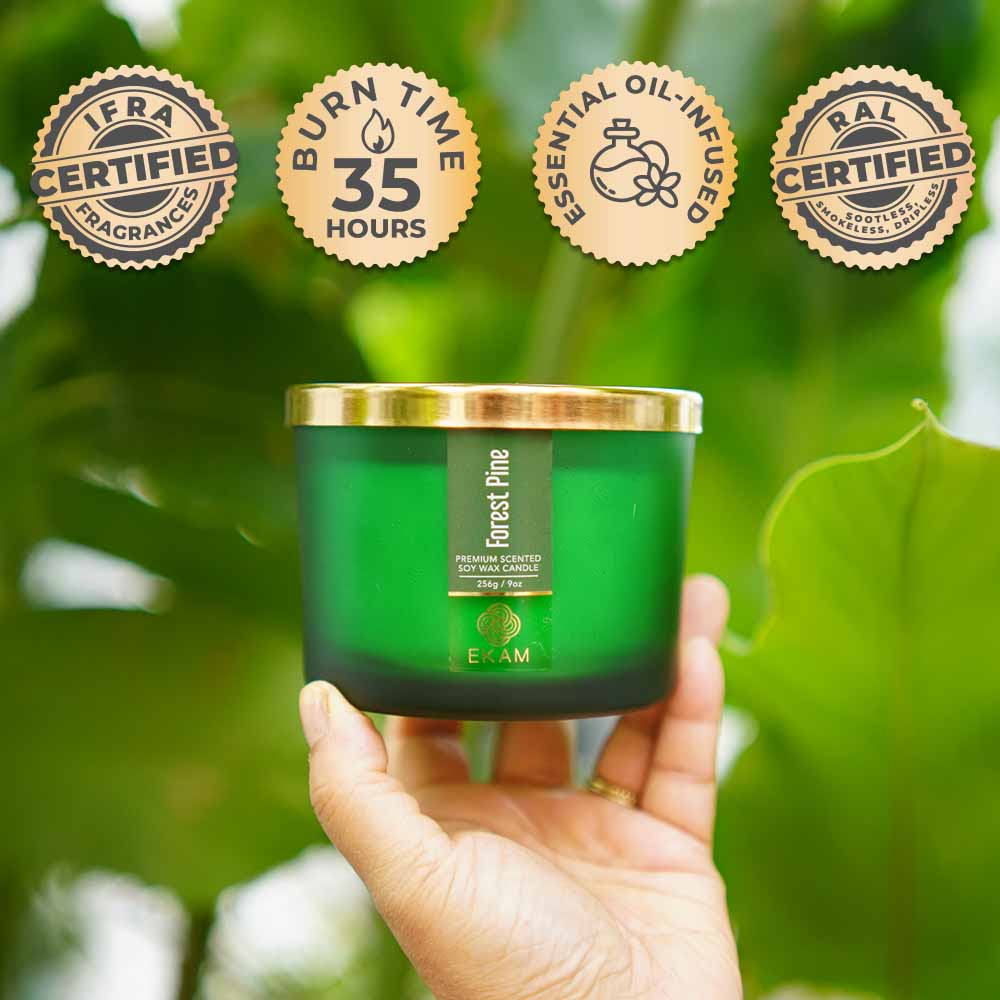 Forest Pine 3 Wick Scented Candle