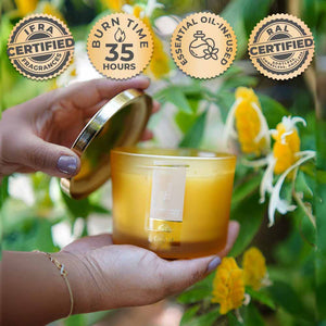 Vanilla 3 Wick Scented Candle