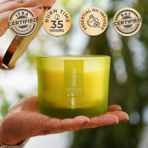 Lemongrass 3 Wick Scented Candle