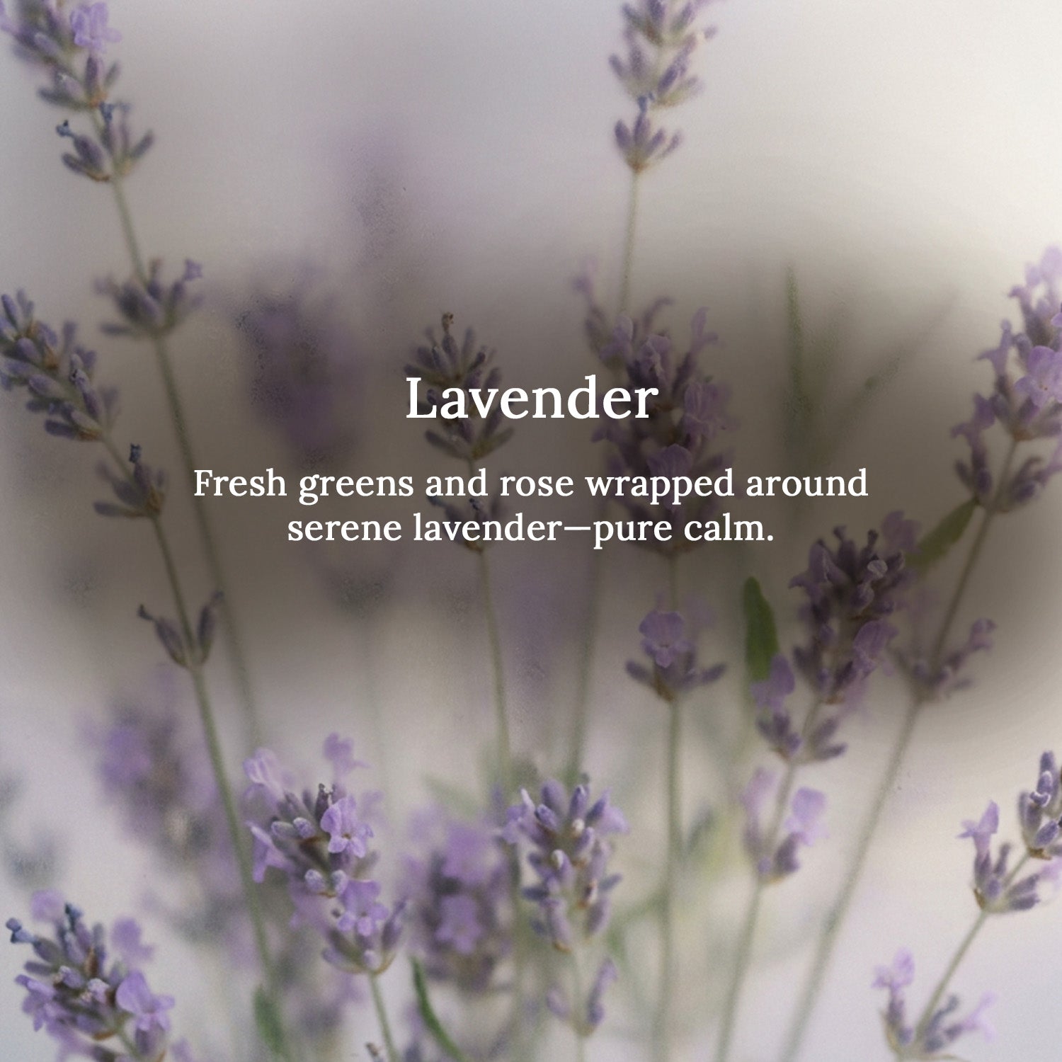 Lavender Lampshade Scented Candle