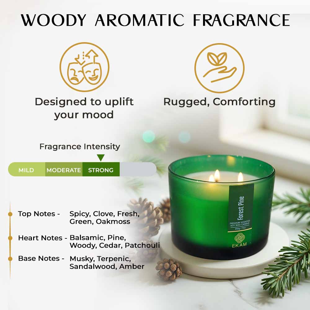 Forest Pine 3 Wick Scented Candle