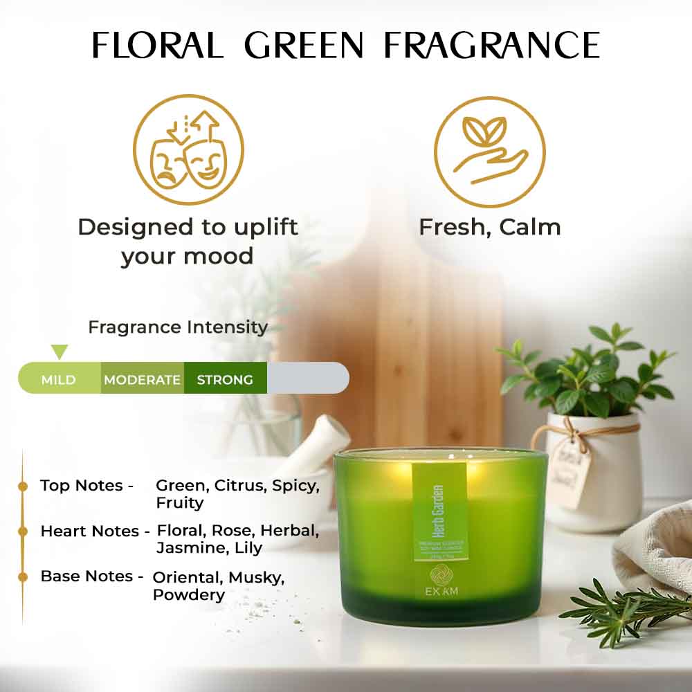 Herb Garden 3 Wick Scented Candle