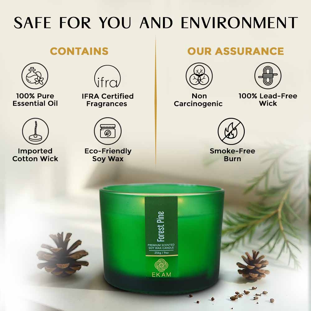 Forest Pine 3 Wick Scented Candle