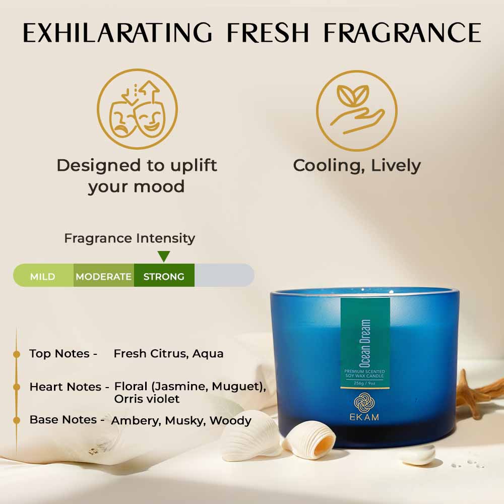 Ocean Dream 3 Wick Scented Candle