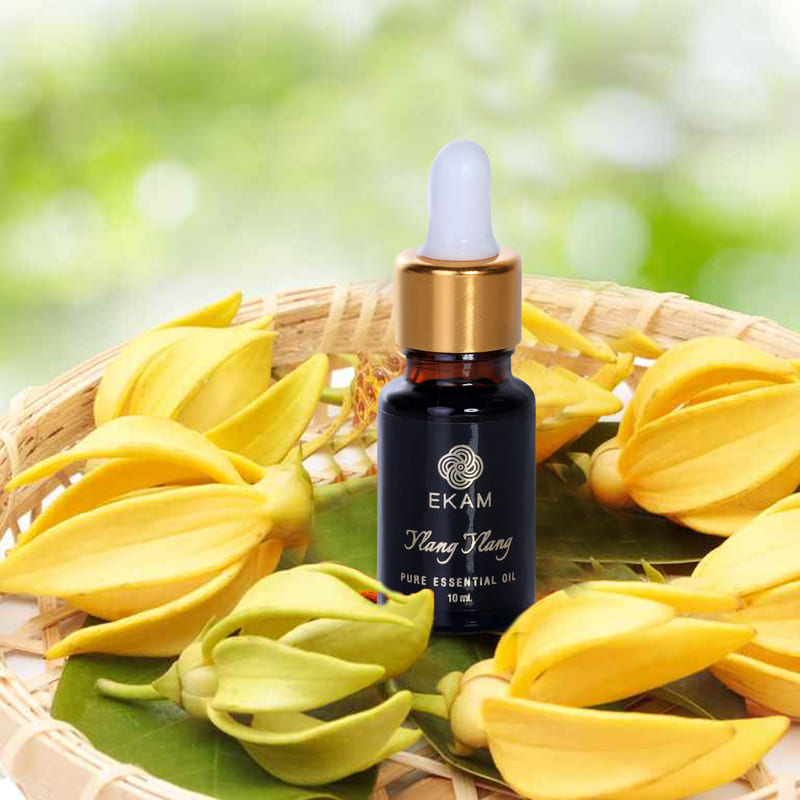 Ylang Ylang Essential Oil, 10ml