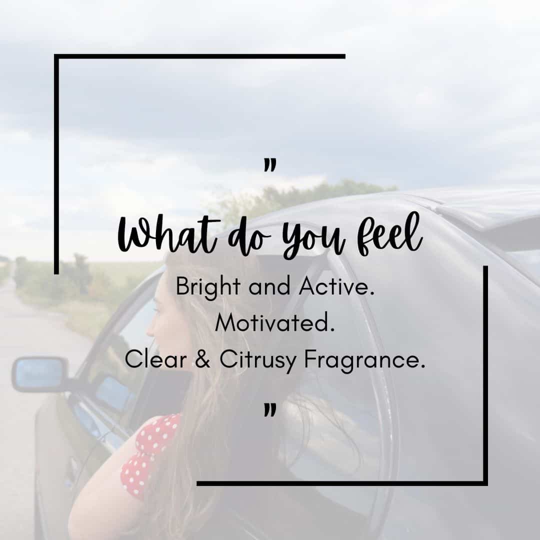 Car Aroma Diffuser with Citrus Rush Car Fragrance Oil