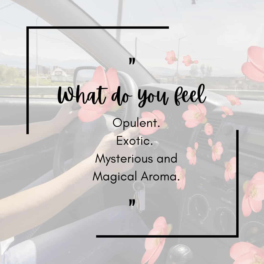 Car Aroma Diffuser with Golden Oudh Car Fragrance Oil