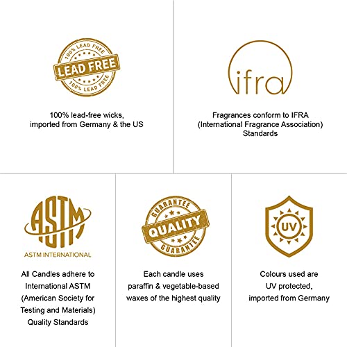 Lime Mandarin Cookie Jar Scented Candle