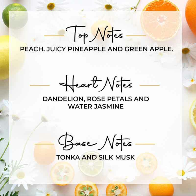 Dandelion Wish Scented 3 Wick Candle