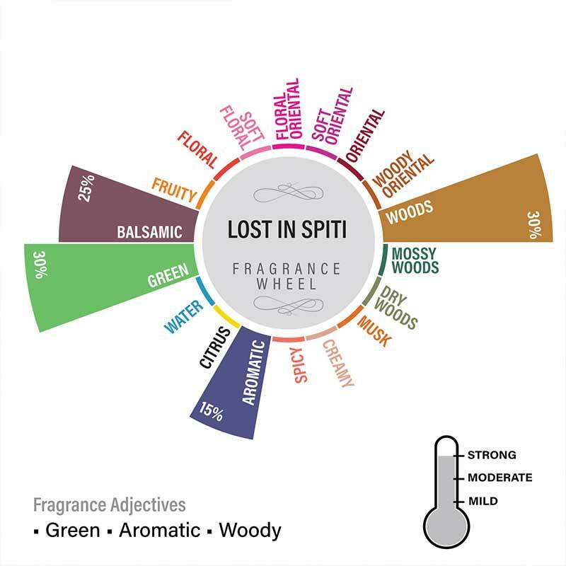 Lost in Spiti 3 Wick Soy Wax Scented Candle