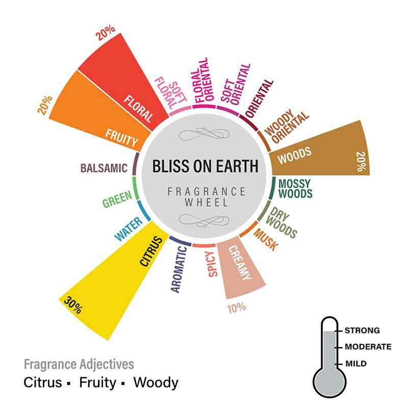 Bliss on Earth Scented 3 Wick Candle