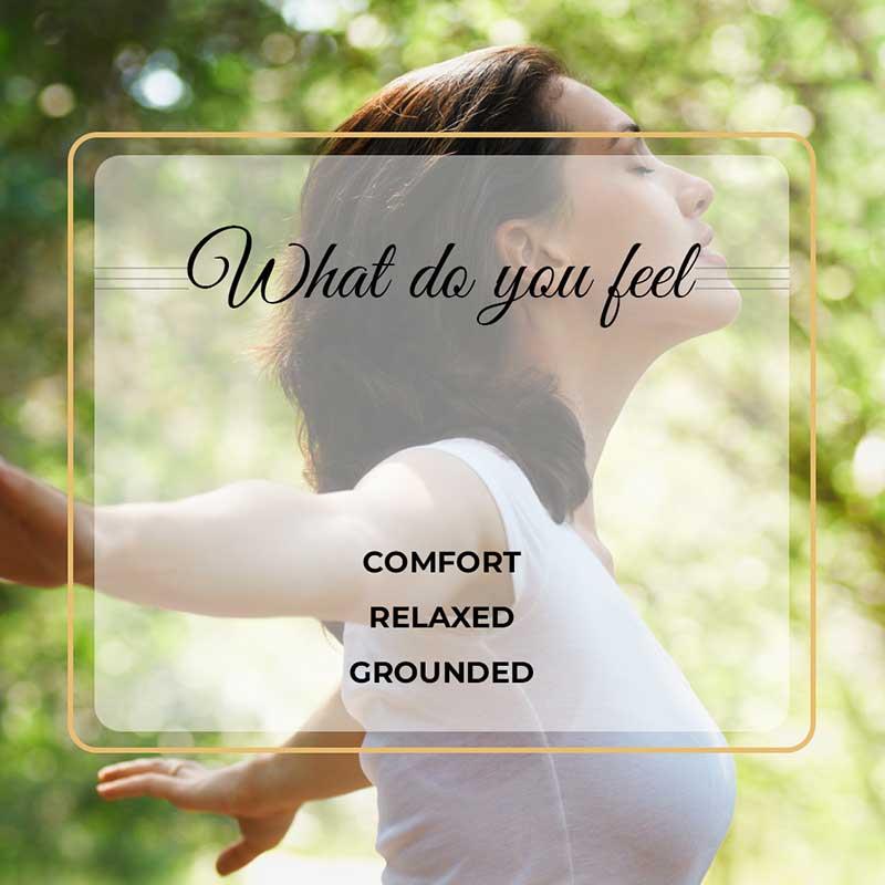 Forest Pine Hexa Jar Scented Candle