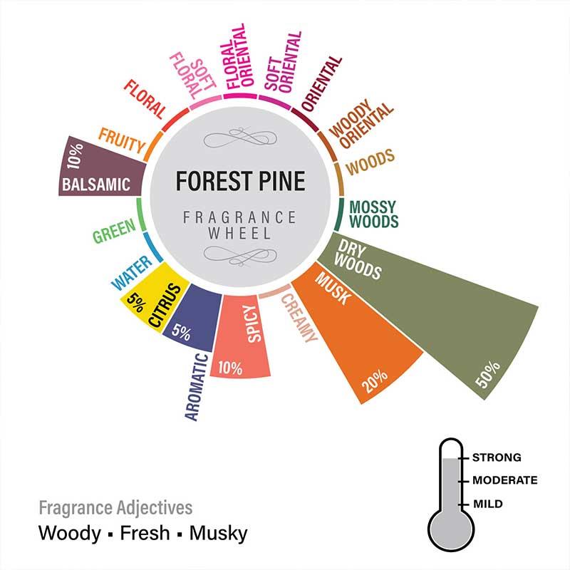 Forest Pine Lampshade Scented Candle