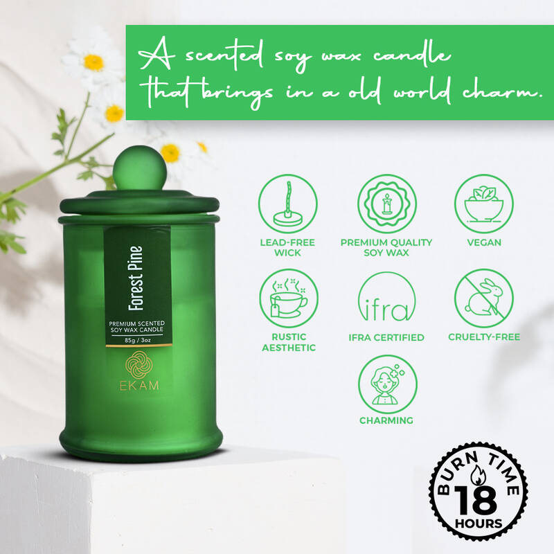 Forest Pine Apothecary Jar Scented Candle