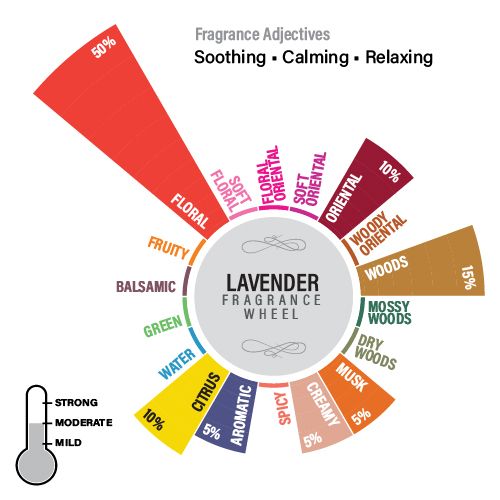 Lavender Fragrance Oil, 10ml