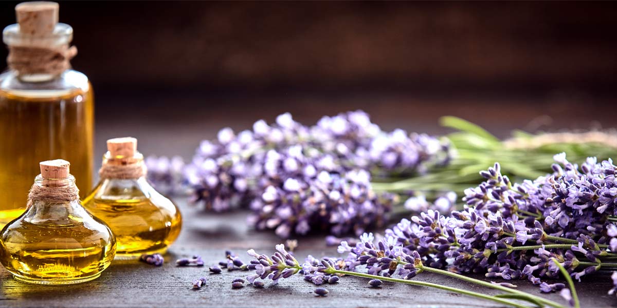Bible! You’ll Need These Essential Oils.