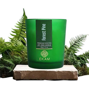 Forest Pine Shot Glass Scented Candle